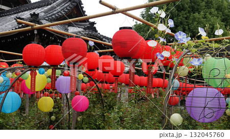 おふさ観音提灯まつり おふさ観音提灯まつり 132045760