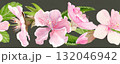 Pink sakura flowers horizontal seamless border watercolor hand-painted in natural botanical style on grey background. Perfect for wedding invitations, spring cards, packaging, textile design. 132046942