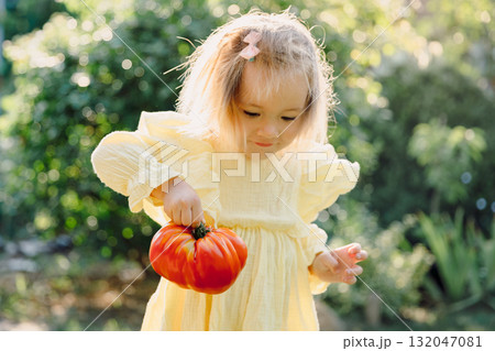Little girl holding a big fresh tomato in summer garden. Little girl holding a big fresh tomato in summer garden. 132047081