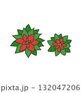 ポインセチア 132047206