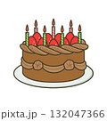 チョコレートのデコレーションケーキ 132047366