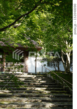 安楽寺の玄関前の参道 132048090