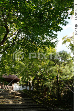 安楽寺の玄関前の参道 安楽寺の玄関前の参道 132048091