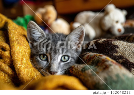 Playful kitten with bright green eyes in a cozy room Playful kitten with bright green eyes in a cozy room 132048212