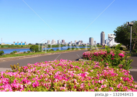 春の荒川と芝川の合流付近（東京都足立区：都市農業公園） 132048415