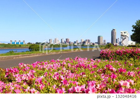 春の荒川と芝川の合流付近（東京都足立区：都市農業公園） 132048416
