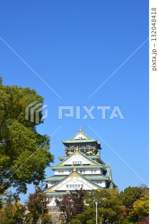 大阪城の天守閣（大阪府大阪市中央区大阪城） 132048418