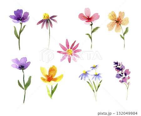 Watercolor set of loose wildflowers in pink, purple, yellow, and blue tones. Perfect for wedding invitations, packaging, textile prints, posters, cards, and floral branding projects. 132049984