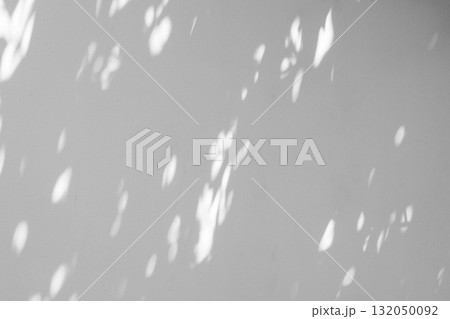 Abstract natural tree leaves shadow on white wall background 132050092