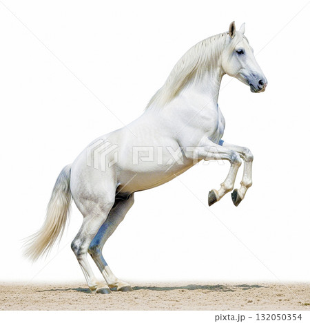 白馬 白馬 132050354