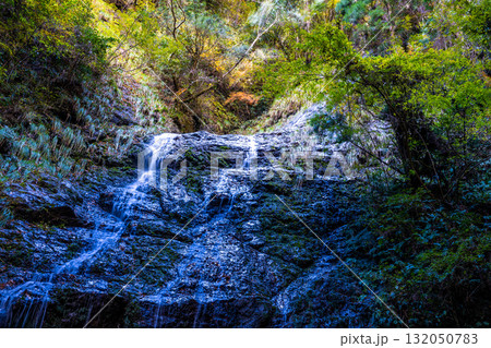 飛龍の滝　秋の風景20　兵庫県佐用郡佐用町 132050783