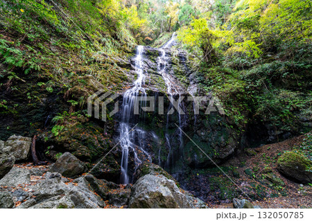 飛龍の滝　秋の風景18　兵庫県佐用郡佐用町 132050785