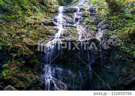 飛龍の滝　秋の風景15　兵庫県佐用郡佐用町 132050788