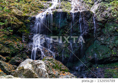飛龍の滝　秋の風景14　兵庫県佐用郡佐用町 132050789