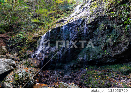 飛龍の滝　秋の風景1　兵庫県佐用郡佐用町 132050790