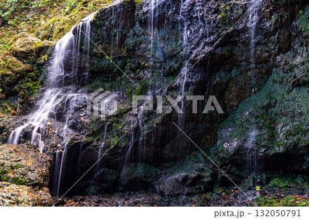 飛龍の滝　秋の風景13　兵庫県佐用郡佐用町 132050791