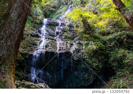 飛龍の滝　秋の風景12　兵庫県佐用郡佐用町 132050792