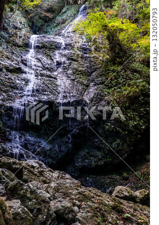 飛龍の滝　秋の風景11　兵庫県佐用郡佐用町 132050793