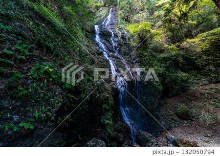飛龍の滝　秋の風景10　兵庫県佐用郡佐用町 132050794