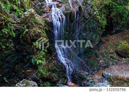 飛龍の滝　秋の風景8　兵庫県佐用郡佐用町 132050796