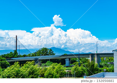 【神奈川県】茅ヶ崎の自然に浮かぶ夏雲 132050881