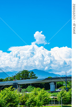 【神奈川県】茅ヶ崎の自然に浮かぶ夏雲 132050882