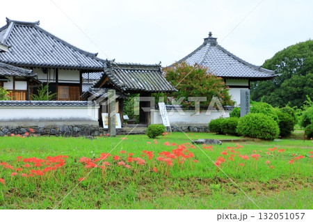 川原寺跡 山門と彼岸花 川原寺跡 山門と彼岸花 132051057
