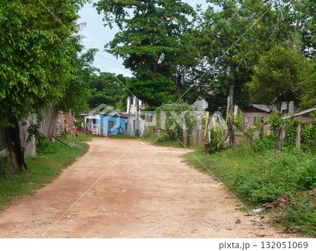 ジャマイカ　 132051069