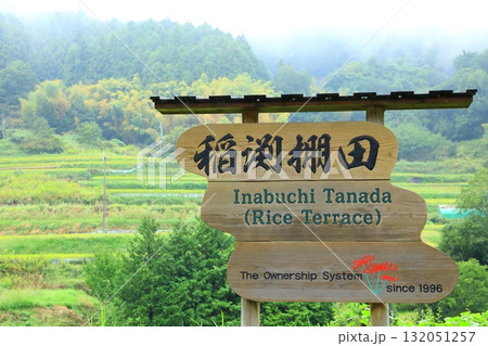 明日香村稲渕の棚田 132051257