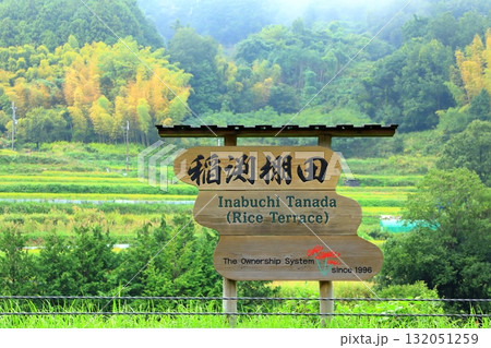 明日香村稲渕の棚田 132051259