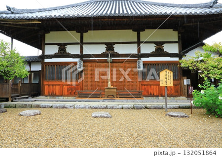 飛鳥寺　本堂と金堂礎石 132051864