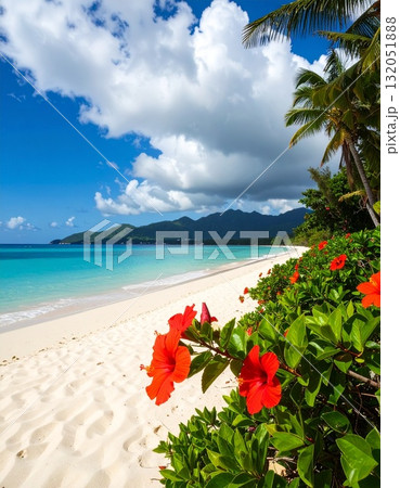 【AI生成画像】南国の入道雲と海とハイビスカス 132051888