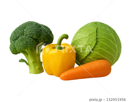 いろんな野菜 132051956