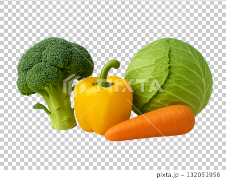 いろんな野菜 132051956
