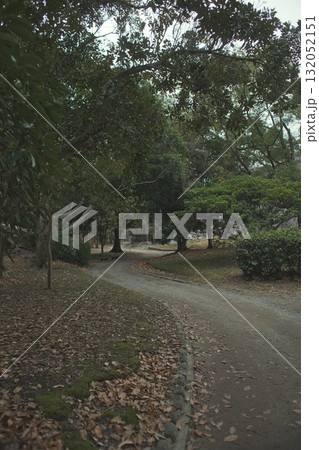 公園の道 公園の道 132052151