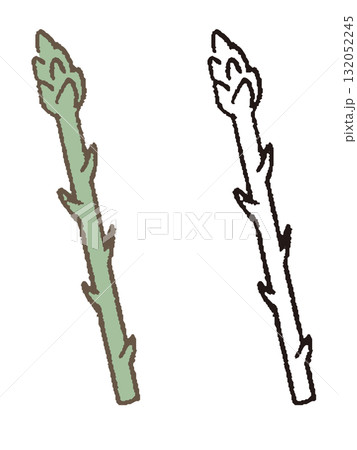 手描きのアスパラガス 132052245