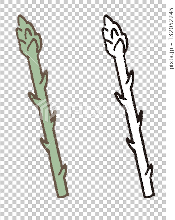 手描きのアスパラガス 132052245