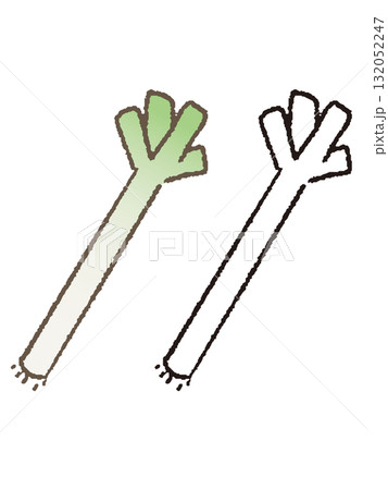 手描きの長ネギ 132052247