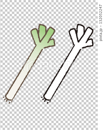 手繪蔥 132052247