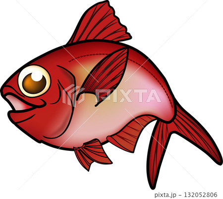 かわいいキンメダイ　イラスト　ベクター 132052806