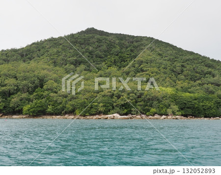 フィッツロイ島–岩と緑が寄り添う曇天の海岸線 132052893