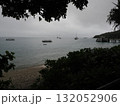 フィッツロイ島–緑の岸辺と停泊する船が並ぶ曇天の湾 132052906