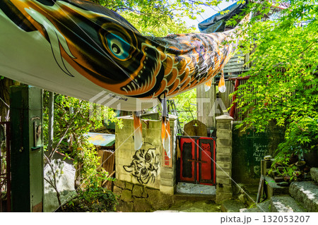 《広島県》尾道・猫の細道 132053207