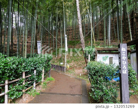 小机城址市民の森 根古谷広場 小机城址市民の森 根古谷広場 132053269