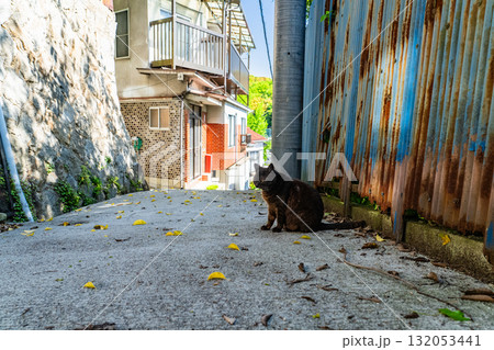 《広島県》尾道・坂の街の風景 132053441