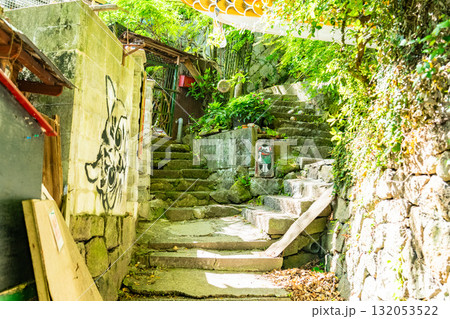 《広島県》尾道・猫の細道 132053522