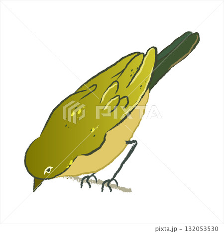 Vector illustration of a Japanese nightingale isolated on a white background. Uguisu in cartoon style. A singing bird, a symbol of spring. 132053530