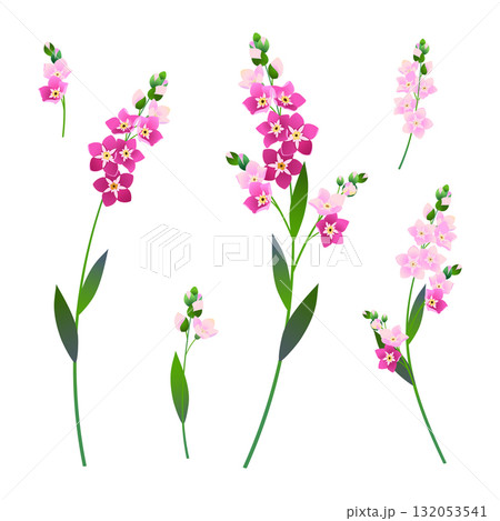 Vintage set of vector floral elements. Branches of pink forget-me-nots. Spring flowers with pink petals. Clipart for wedding designs, Mother's Day, and Valentine's Day cards. 132053541