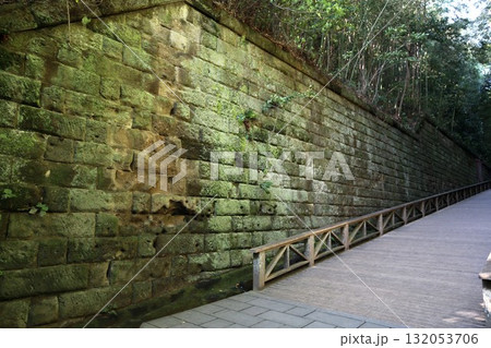 東京湾唯一の自然島である猿島にある要塞跡の『切り通し』 132053706