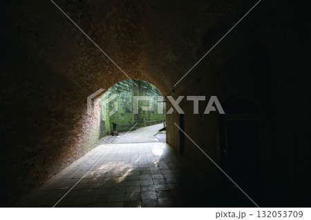 東京湾唯一の自然島である猿島にある要塞跡のトンネル 132053709